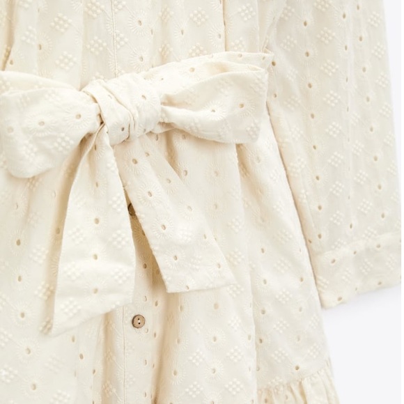 Zara Woman Cutwork Dress - Picture 6 of 7